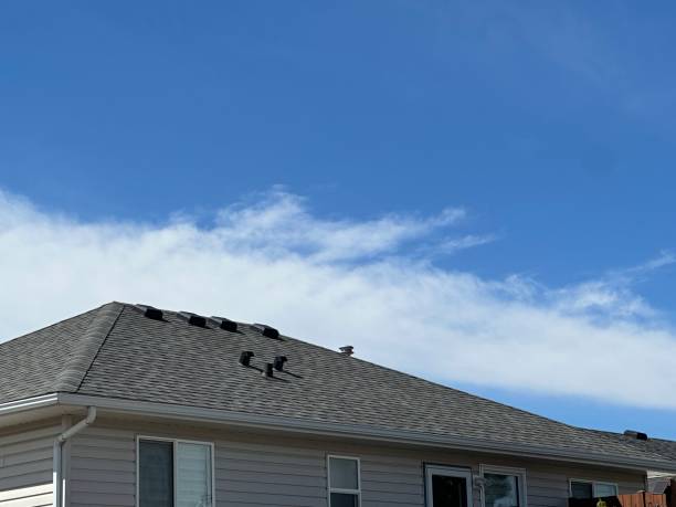 Siding in The Acreage, FL